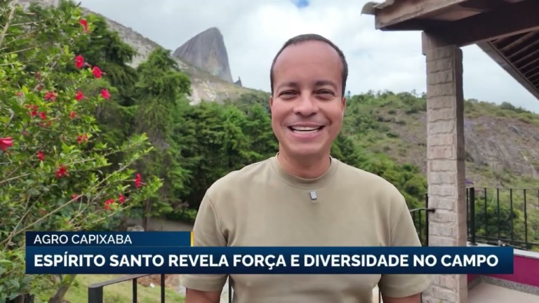 Espírito Santo se destaca como potência cafeicultora brasileira