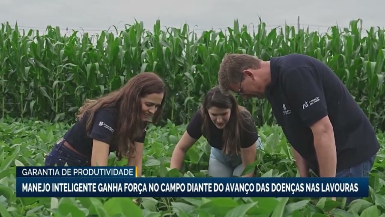 Manejo inteligente se destaca no combate a doenças nas lavouras