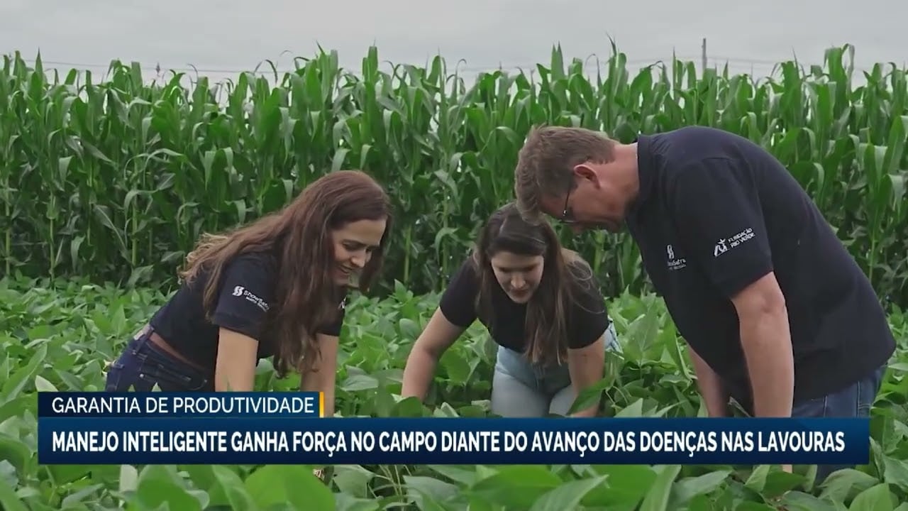 Manejo inteligente se destaca no combate a doenças nas lavouras