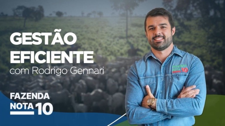Gestão estratégica de pastagens e seu impacto na rentabilidade da pecuária
