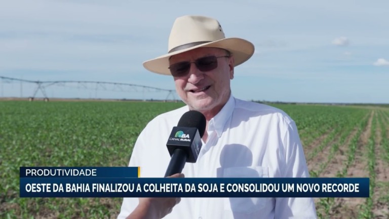 Bahia finaliza colheita de soja e alcança recorde histórico de produtividade