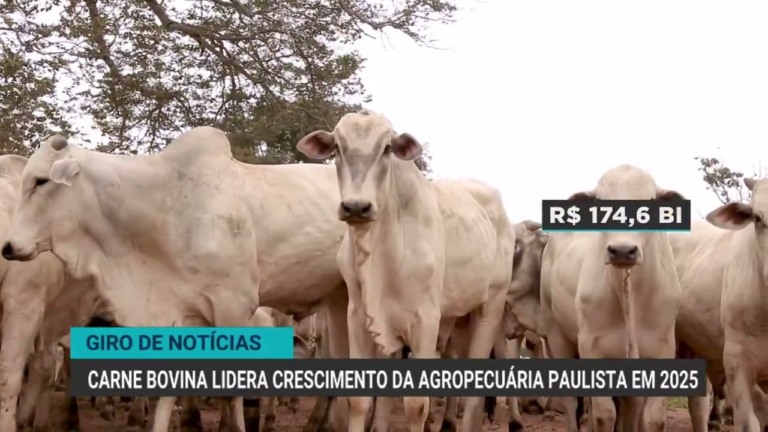 Desembolso no Plano Safra 25/26 até abril recua 10% em relação ao ano anterior