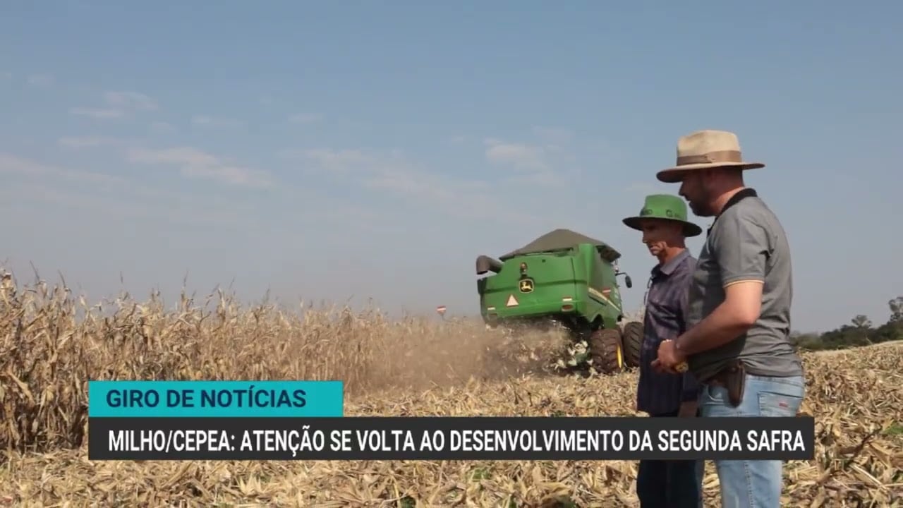 Projeção do VBP deve superar R$ 1,4 trilhão em 2023, aponta Mapa