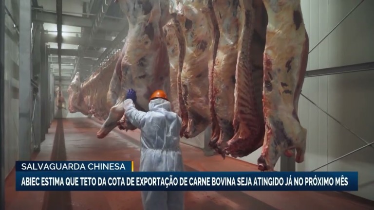 Cota de exportação de carne bovina do Brasil para China atinge 55%