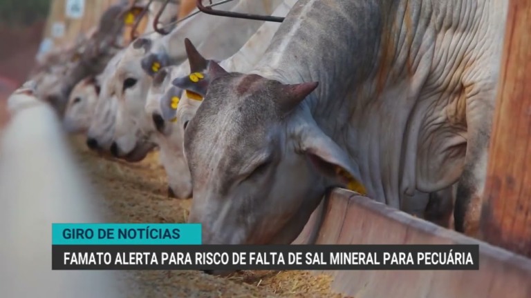 União Europeia audita Brasil para reabertura do mercado de pescados