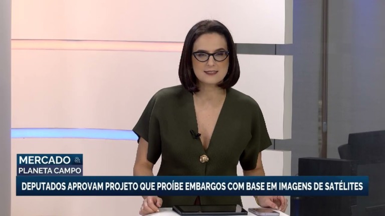 Câmara dos Deputados aprova projeto que proíbe embargos por imagens de satélite