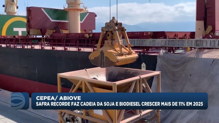 Cadeia da soja e biodiesel cresce 11% em 2025, mas renda cai 0,55%
