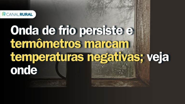 Onda de frio persiste e termômetros marcam temperaturas negativas em várias regiões