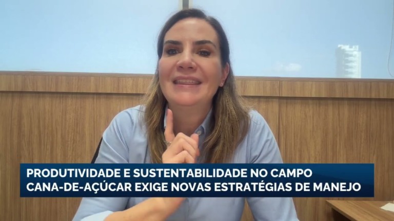 Novas estratégias de manejo são essenciais para a cana-de-açúcar no Brasil