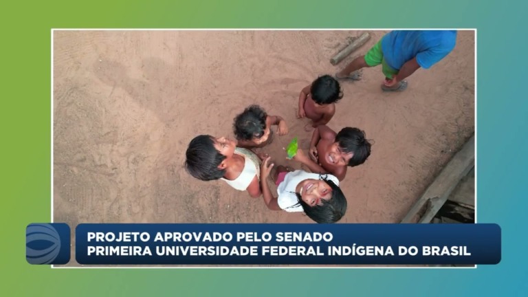 Senado aprova criação da primeira universidade federal indígena do Brasil