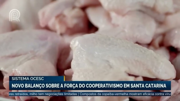 Cooperativismo em Santa Catarina alcança R$ 105 bilhões em 2025