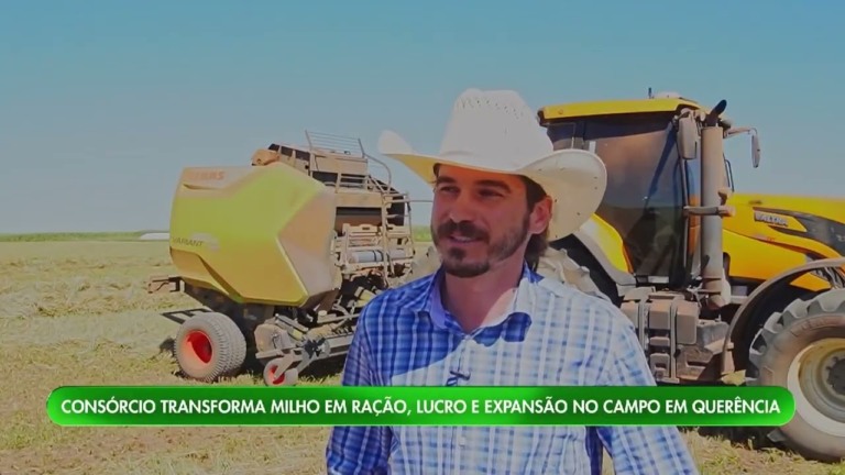 Milho e soja impulsionam crescimento econômico no Vale do Araguaia