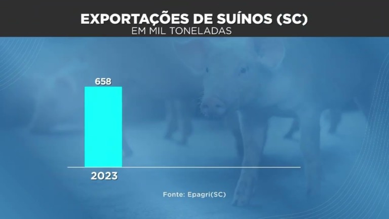 Santa Catarina registra crescimento nas exportações de aves e suínos em três anos