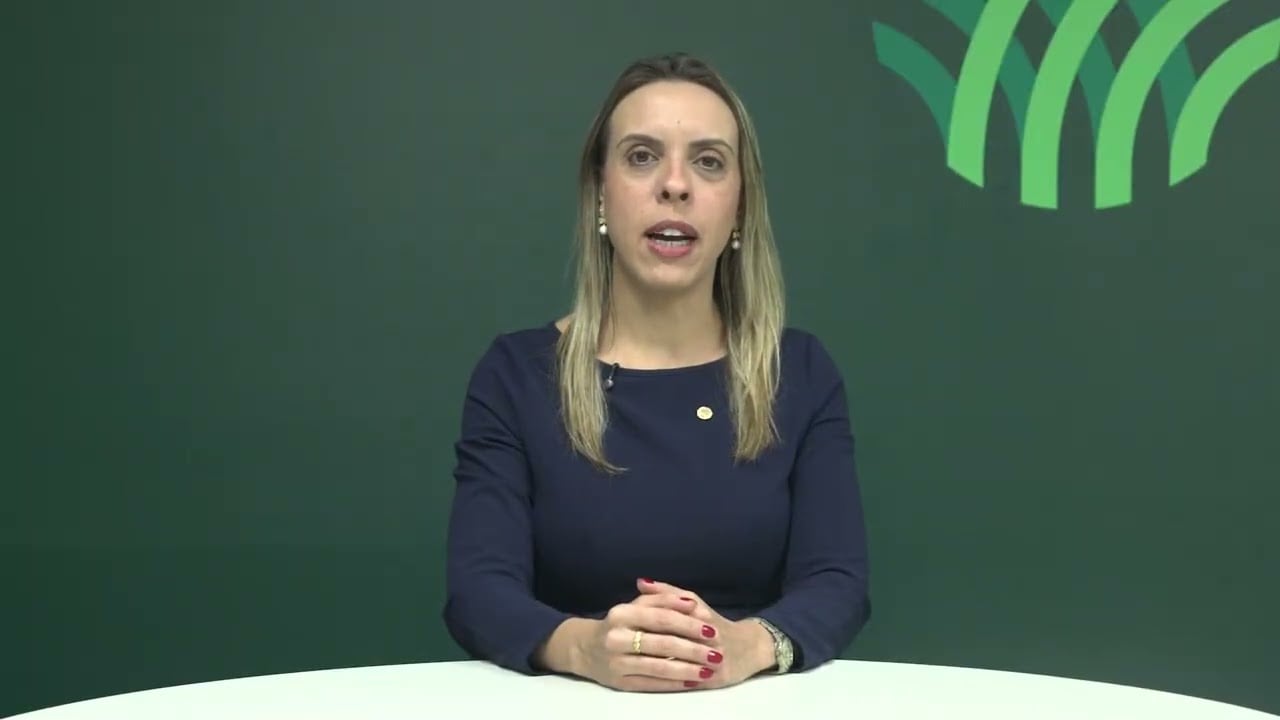Café deve ser a terceira principal cultura no VBP em 2026, aponta CNA