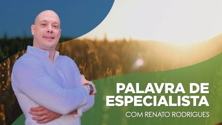 Agricultura do futuro: solos biologicamente ativos como solução