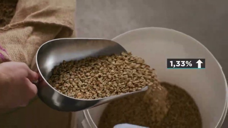 Chuvas atrasam colheita de café e impactam cotações do arábica no Brasil