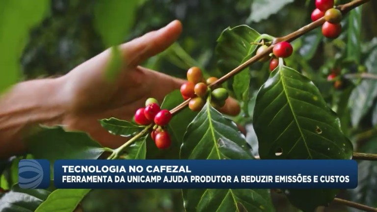 Ferramenta do Cepagr ajuda produtores de café a reduzir emissões e custos