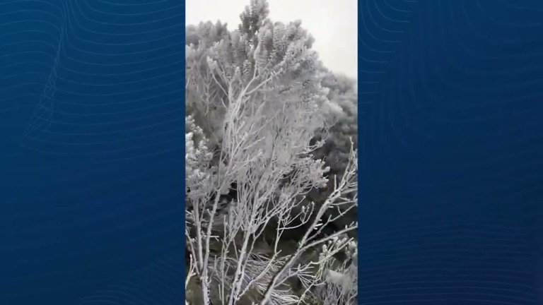 Onda de frio provoca temperaturas negativas e geada no Sul do Brasil