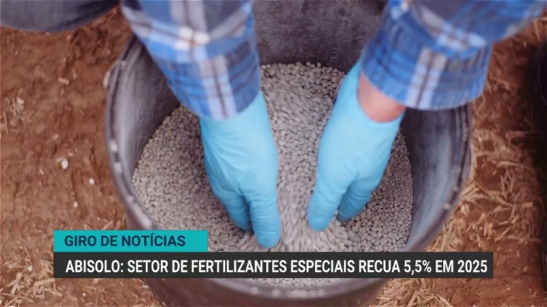 Anec reduz projeção de embarques de soja em maio para 15,8 milhões de toneladas