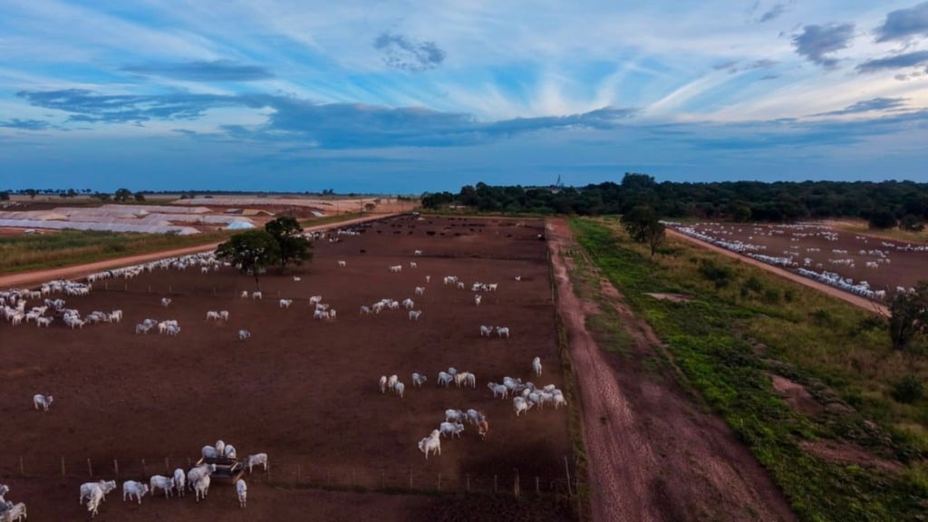 Foto: Divulgação. Foto: Divulgação.