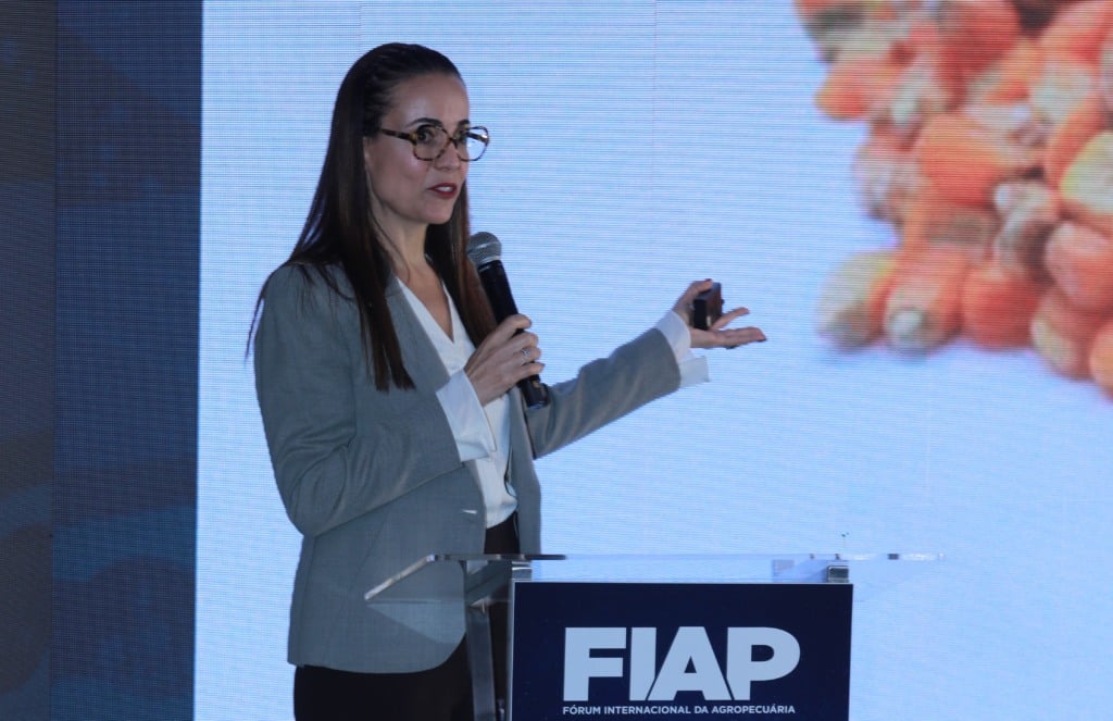 Andrea Veríssimo, diretora da Unem, participa do Fiap 2026 Andrea Veríssimo, diretora da Unem, participa do Fiap 2026