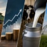 Agro, PIB, leite, irrigação