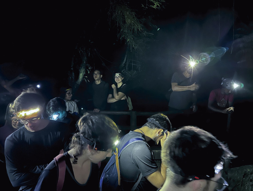 bioluminescencia-pessoas