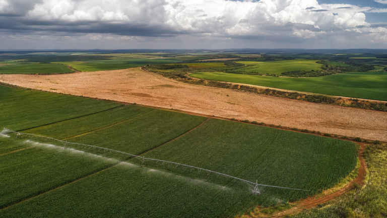 Brasil apresenta legado da COP30 em debate sobre sistemas alimentares e COP31