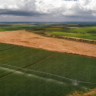 Brasil apresenta legado da COP30 em debate sobre sistemas alimentares e COP31