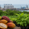 Brasil e Trinidad e Tobago ampliam agenda agropecuária no Caribe