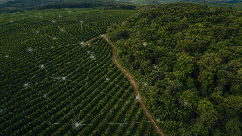 Cecafé apresenta sustentabilidade da cafeicultura brasileira em evento da Comissão Europeia Cecafé apresenta sustentabilidade da cafeicultura brasileira em evento da Comissão Europeia