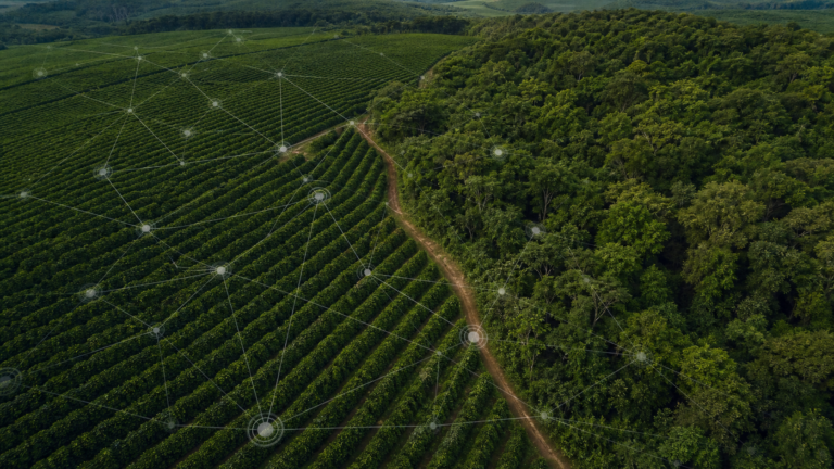 Cecafé apresenta sustentabilidade da cafeicultura brasileira em evento da Comissão Europeia