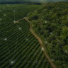 Cecafé apresenta sustentabilidade da cafeicultura brasileira em evento da Comissão Europeia