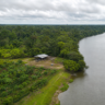 Edital Amazônia Viva seleciona 40 projetos para produção rural sustentável