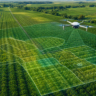Embrapa destaca avanços e desafios da inteligência artificial na agricultura tropical
