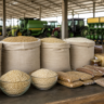Fenarroz abre 26ª edição em Cachoeira do Sul com foco na cadeia do arroz
