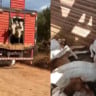 apreensão de gado no pará gera conflito com pecuaristas