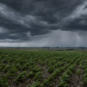 Inmet emite alerta de tempestade para o Sul na madrugada de segunda-feira (8)
