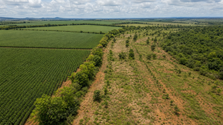 Mapa apresenta programa de restauração e crédito em fórum climático no Rio
