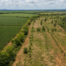Mapa apresenta programa de restauração e crédito em fórum climático no Rio