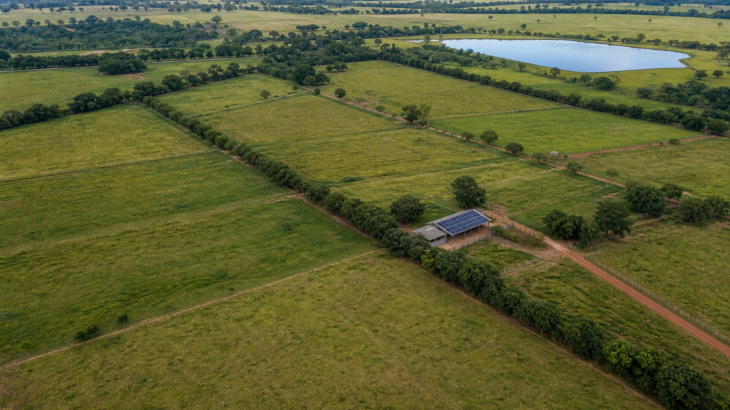 Pecuária de baixo carbono é apresentada como fator de competitividade da carne brasileira Pecuária de baixo carbono é apresentada como fator de competitividade da carne brasileira