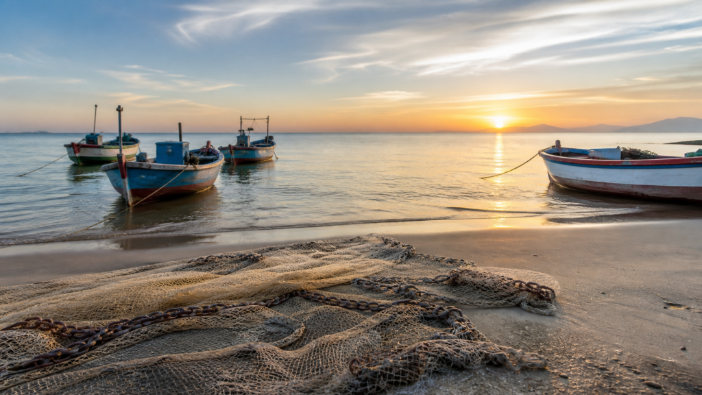 Pesca de tainha por arrasto de praia é suspensa após limite da cota ser atingido Pesca de tainha por arrasto de praia é suspensa após limite da cota ser atingido