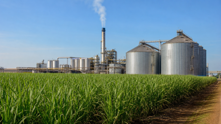 Produção da agroindústria cresce 1,8% em abril, informa FGVAgro