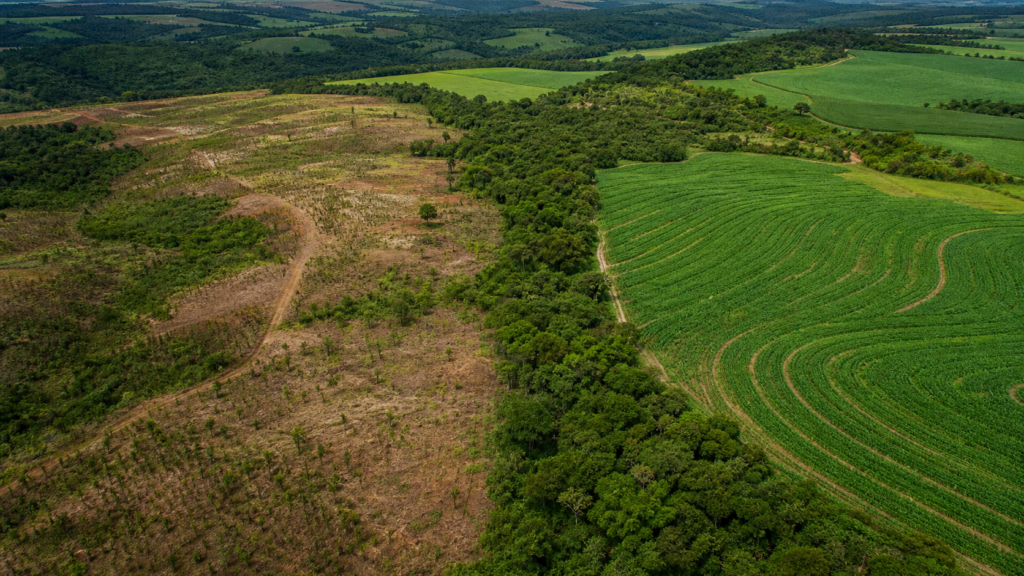 Programa Caminho Verde Brasil é apresentado em fórum internacional do agro Programa Caminho Verde Brasil é apresentado em fórum internacional do agro