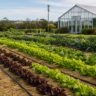 Seminário da Embrapa revisa marco legal da agroecologia