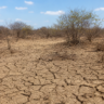 Seminário em Recife debate desertificação e justiça ambiental no Semiárido