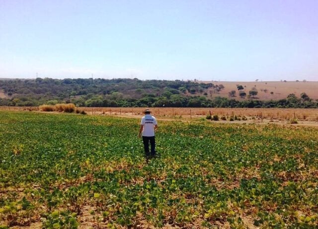 Créditos Agrodefesa