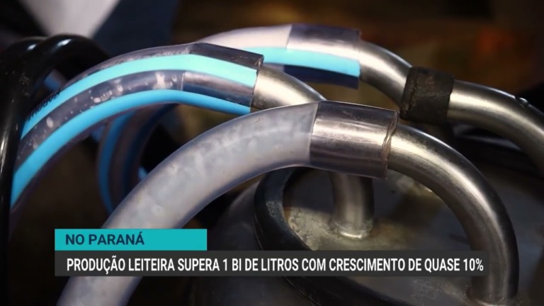 Produção leiteira do Paraná cresce quase 10% e supera 1 bilhão de litros