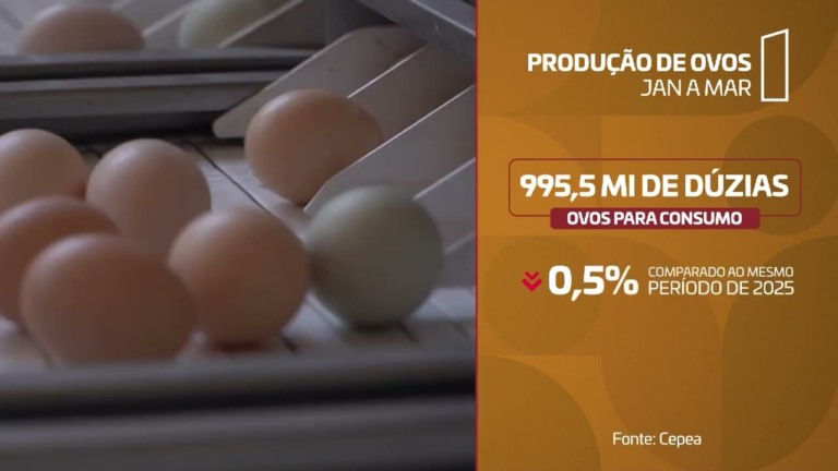 Cepea aponta mudanças nos custos e preços das proteínas animais em 2026