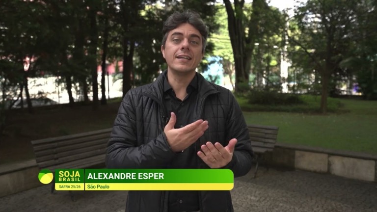 O futuro da soja: especialista aponta crescimento do setor no Brasil
